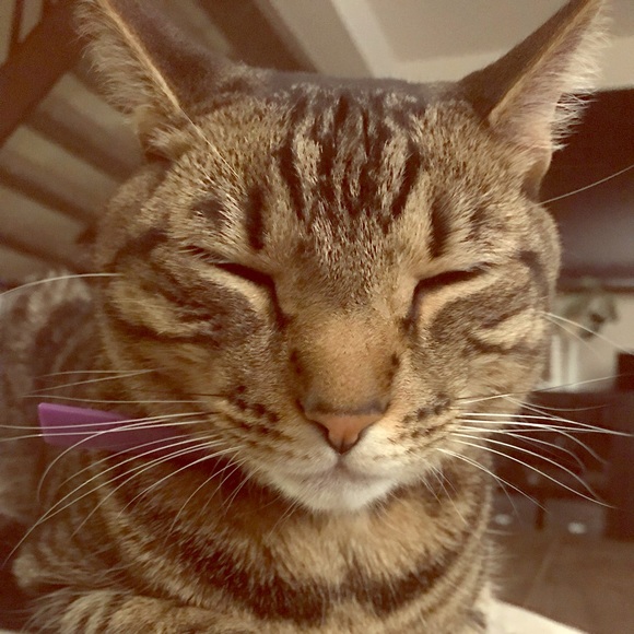 Other - Bundle 2 of my items!!!!